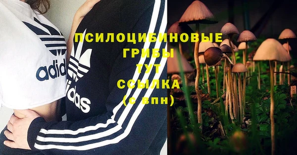 дживик Навашино