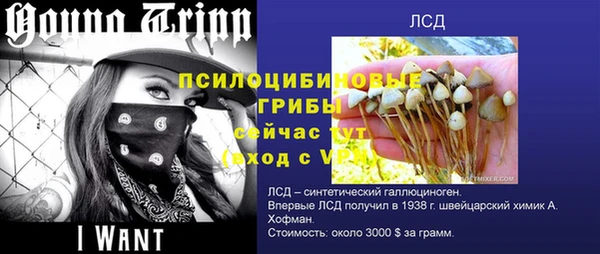 твердый Нефтегорск