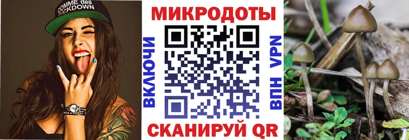 дарк нет какой сайт  Мышкин  Галлюциногенные грибы Psilocybe  сколько стоит 
