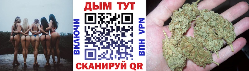 Канабис SATIVA & INDICA  хочу   Мышкин 